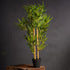 Artificial Bamboo Tree Plant 90cm
