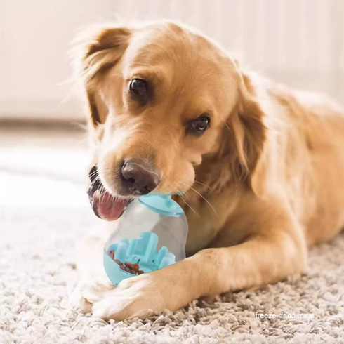 Pet eating sport tumbler