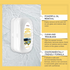 Glass oil film remover brush