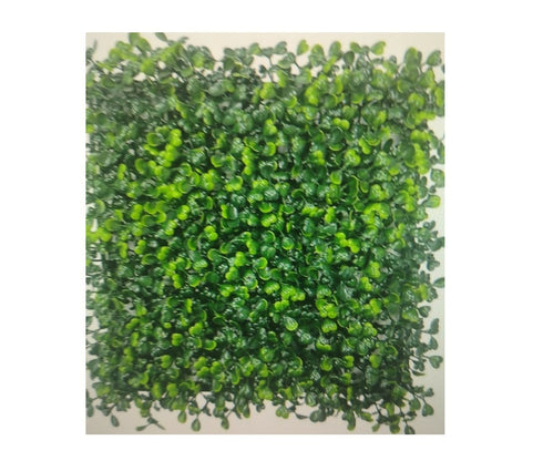 Artificial Wall Plant