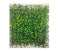 Artificial Wall Plant