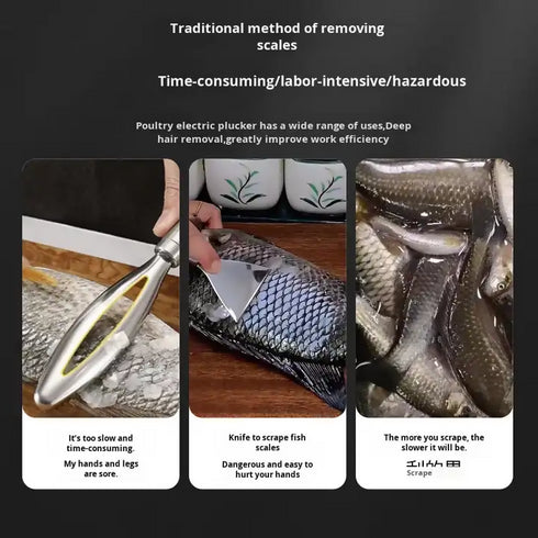 Electric Fish Scaler.