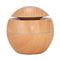 Cool Mist Humidifier with Essential Oil Diffuser