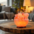 Natural Himalayan Crystal Salt Fire Bowl Lamp With Wood Base