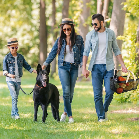 Multi-Functional Mesh Steel Basket