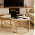 Nesting Coffee Table Set 2Piece Modern Center Tables for Home White - Gold - FU3019