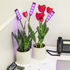Flexible LED Grow Light Desktop Clip Phyto Lamps for Indoor Plants-3 Heads