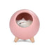 LED Lamp Cute Cat House