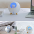 Planet Cat Humidifier