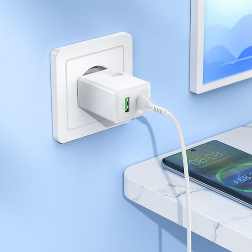 Ingenious single port