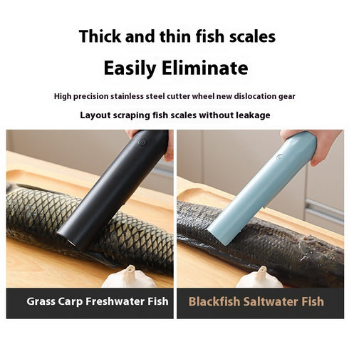 Electric Fish Scaler.