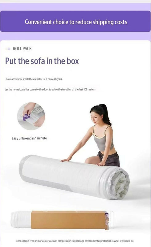 Modern Minimalist Light Luxury Full-Compressed Memory Foam Sofa