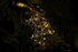Shimmering Solar Garden Lights Outdoor Decorative Garden Lights, Waterproof Path Lights Lawn Yard Decorations