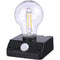 Portable LED Solar Bulb Lamp