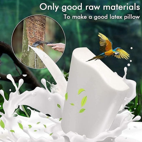 Neck, Back Pain Relief Foam Memory Foam Pillow - White