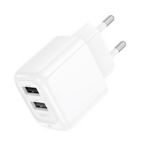 Surplus dual-port charger