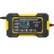 12V intelligent pulse repair charger