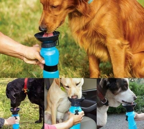 Dog Travel Water Bottle with Sipper Bowl