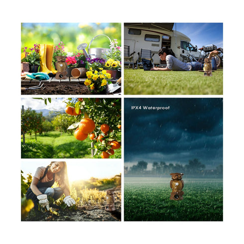 Alert Owl Statue Pest Control