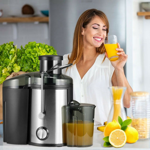 1000W Electric Juice Extractor Machine