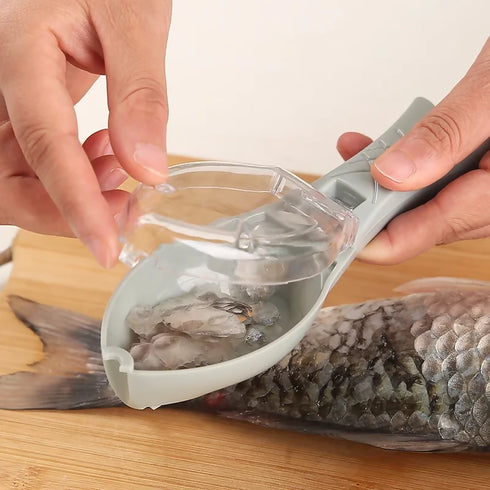 Portable Fish Scale Scrapper
