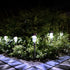 Solar Garden LED Light - Pack of 10