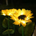 2 Pieces Solar Sunflower Lawn Light Garden Light