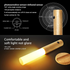 Portable Intelligent Induction LED Light