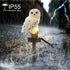 White Owl - Waterproof Solar Light