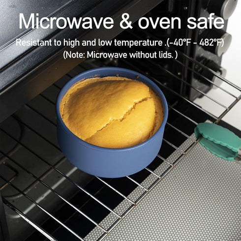 Silicon Bento Lunch Box With Lid.