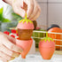 Ice Cream MoldS