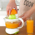 Electric citrus juicer with filter