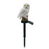 Outdoor Waterproof Solar Lawn Light Garden Owl Decoration Led Lamp - White