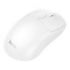Platino wireless mouse