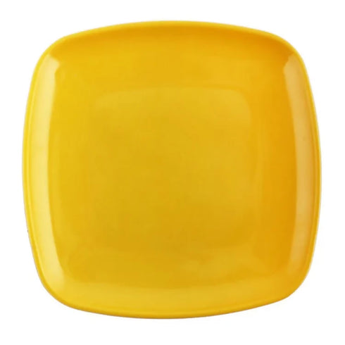 Portable Plastic Plate