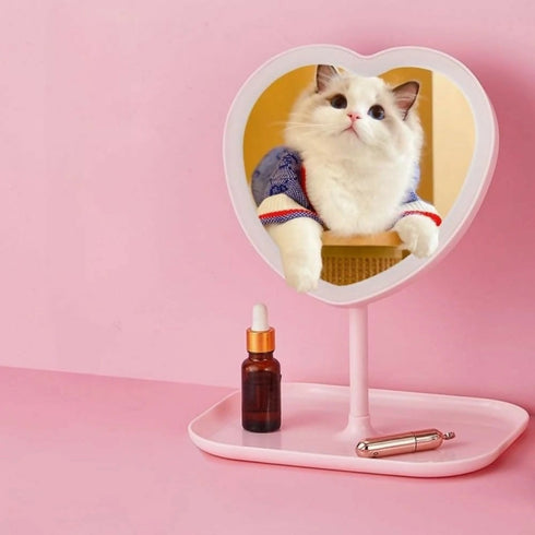 Usb Rechargeable Led Makeup Mirror