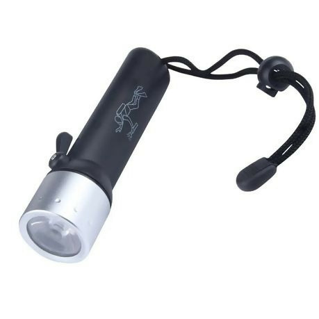 Diving Flashlight