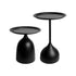 Set of 2 Modern Black Nesting Round Side Tables