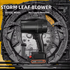 Industrial 220V 600W Storm Leaf Blower High-Power DIY Grade Lithium Battery Handheld Brush Petrol Blower