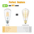 E27 LED Filament Bulb ST64 4W PACK OF 2