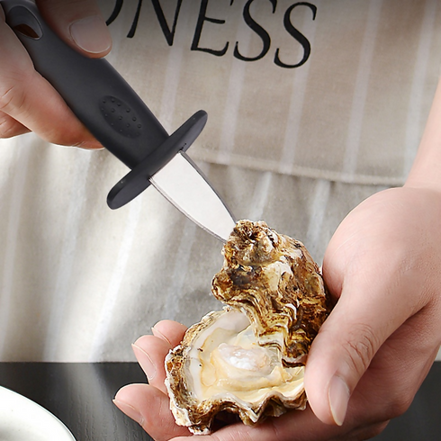 Kitchen Tool Oyster Knife