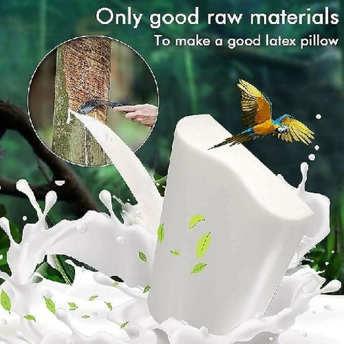 Orthopedic Pillows for Sleeping