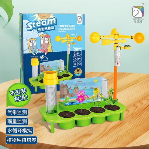 Educational Scientific Weather Station Toy