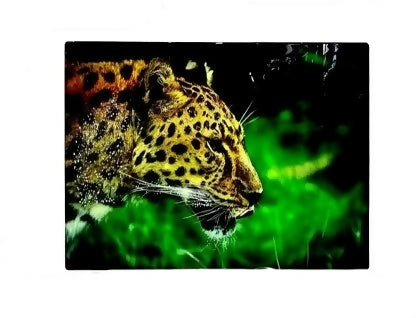 Wall Art Painting Canvas Single 60 cm x 80 cm Painting (With Frame)