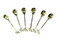 Stainless Steel Creative Leaf Tasting Dessert Forks