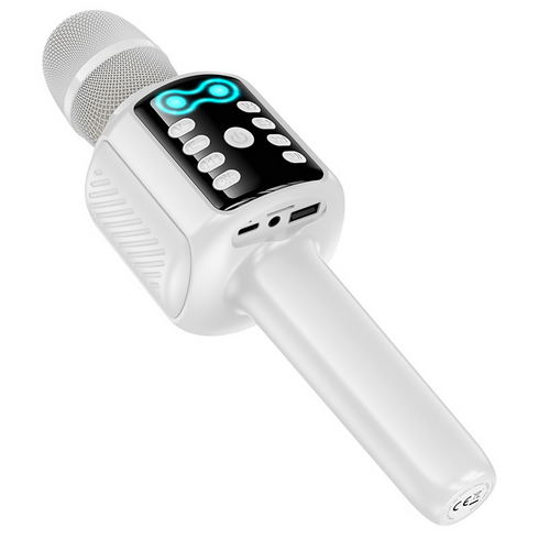 Mic and Speaker