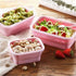 Silicone Preservation Lunch Boxes