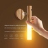 Portable Intelligent Induction LED Light