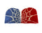 GLOBAL SPIDER WEB BEANIE