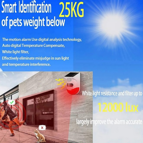 Outdoor Solar Alarm